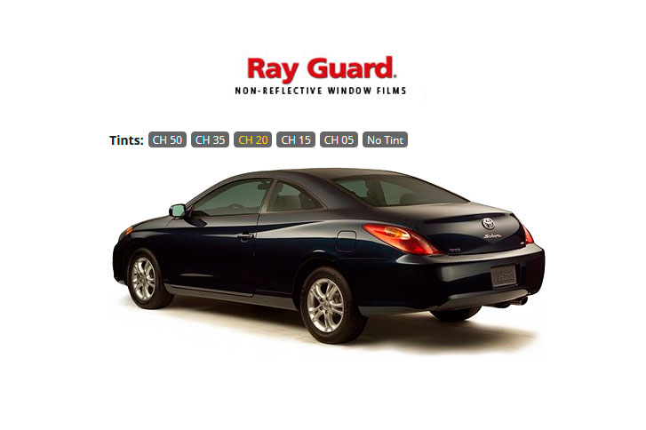 RayGuard CH20